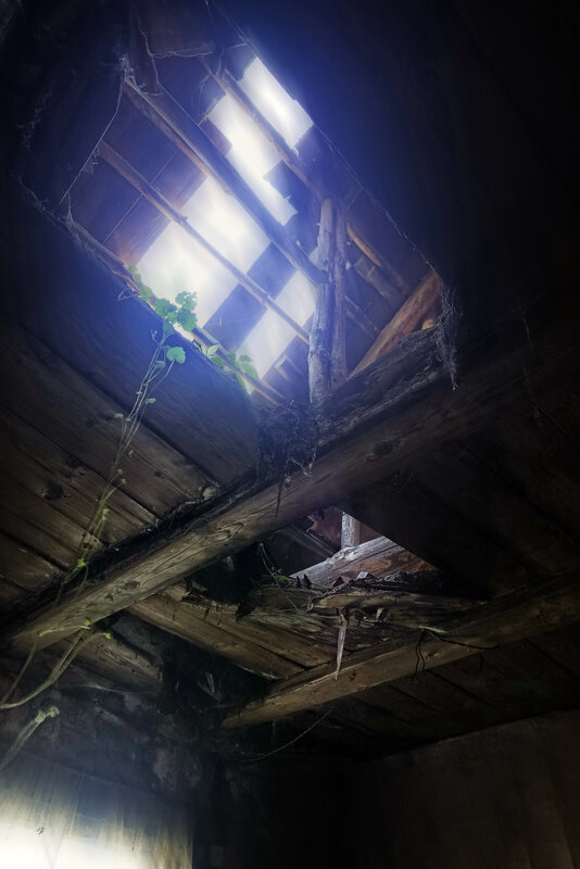 Жизнь - sorovey Sol