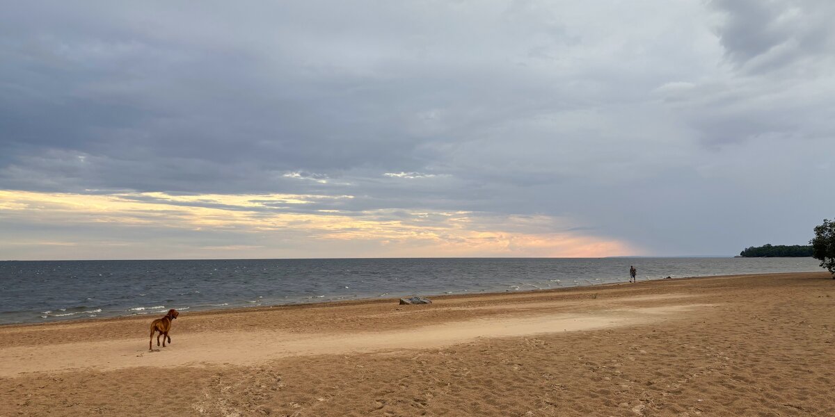 На просторе - Мария - Maria