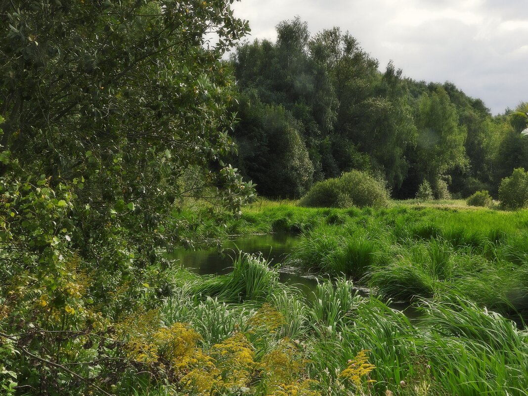 *** - Леонид leo