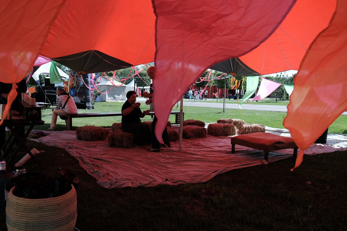 Индия Фест - Сергей Золотавин