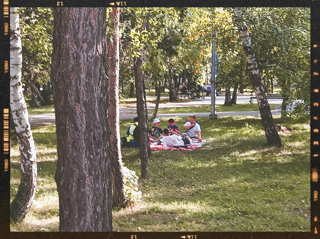 Пикник, малышей. - Игорь Солдаткин