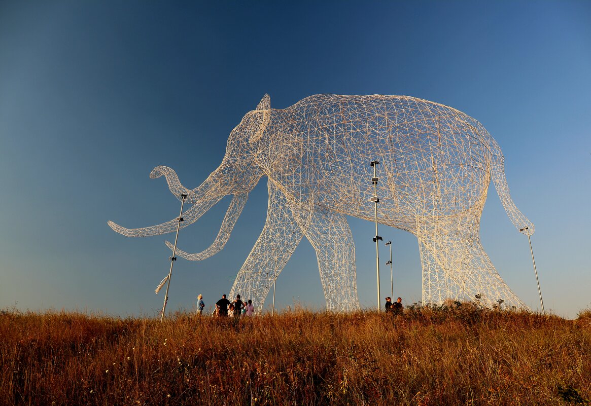 Слон - Evgeny Mameev