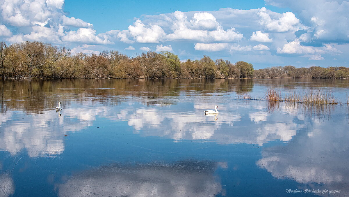 Безмятежная гладь воды - Светлана Ищенко