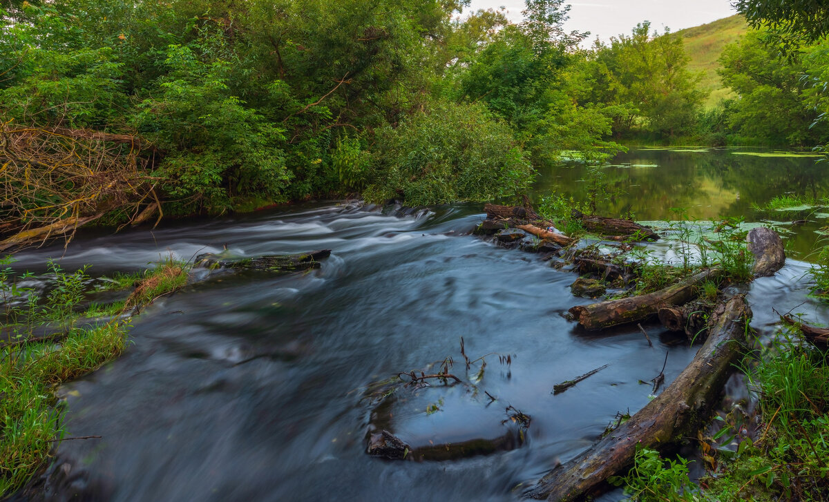 на старой мельнице - Виталий Емельянов
