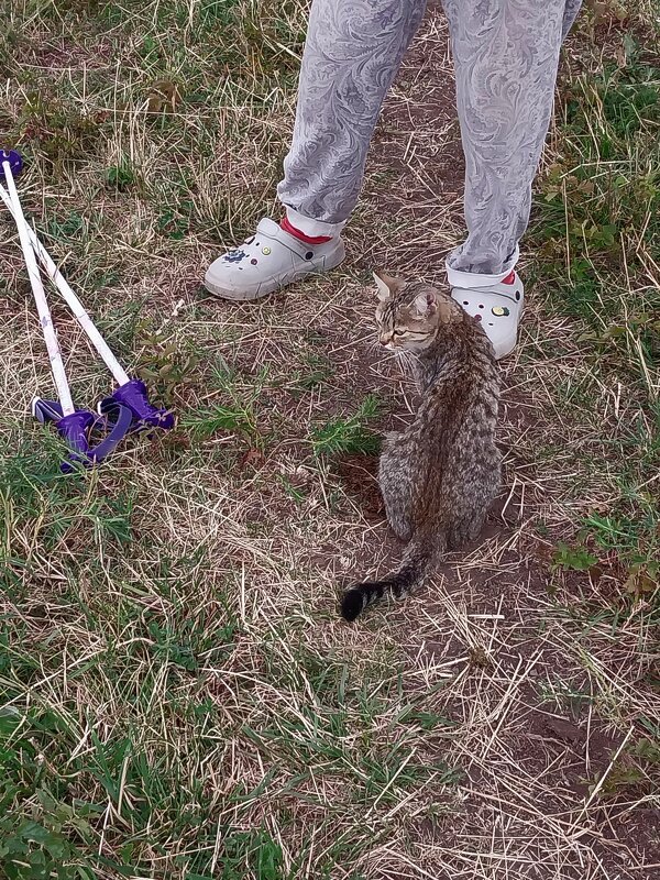 Talgar. - Murat Bukaev 