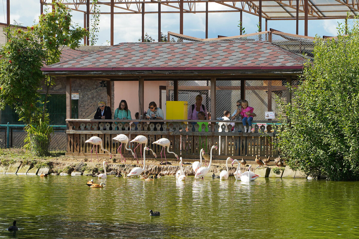 У_ВОДЫ_ПРИЯТНО - Сергей Янович Микк