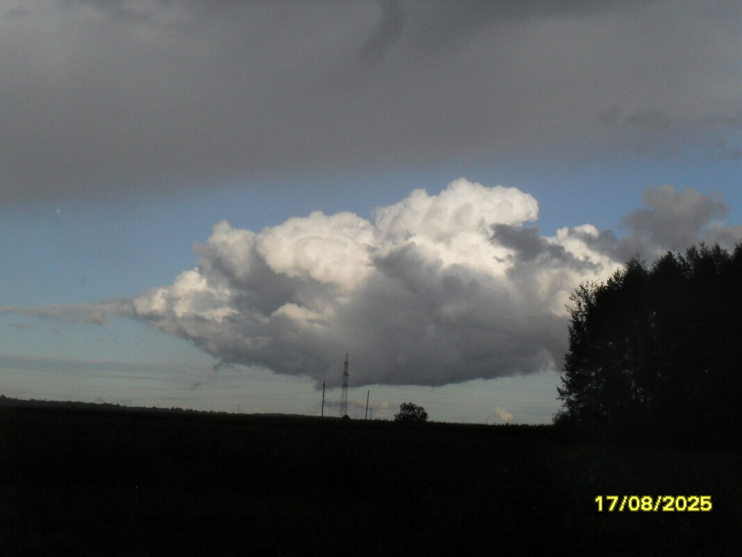 Облако - fogmeadowww m