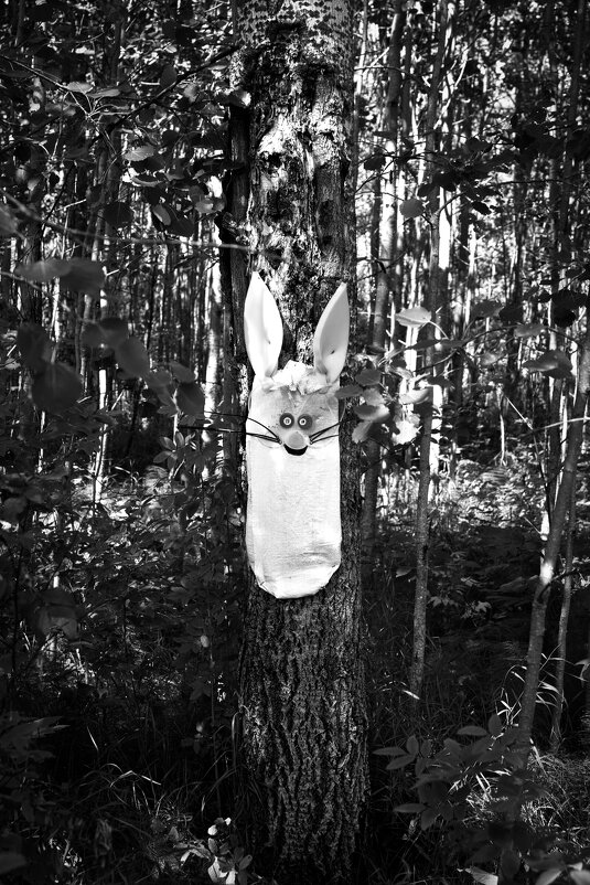 Назва. отсу. - Денис Безногов Назва. отсу. - Денис Безногов