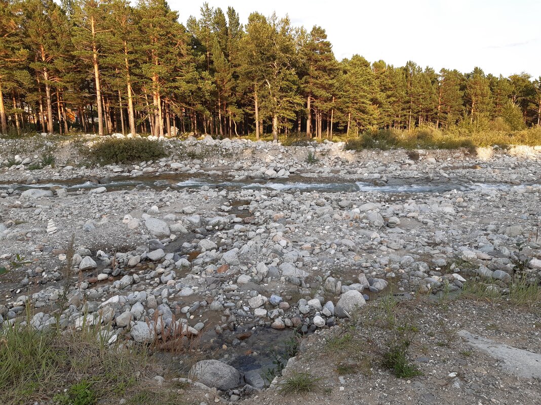 Конец июля - тоже середина лета - Галина Минчук