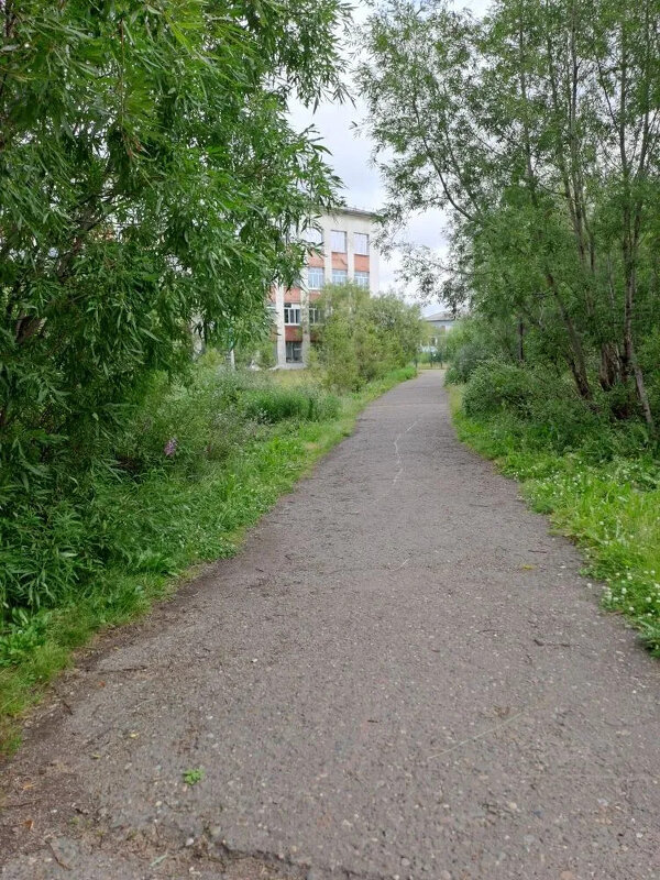 Дорога в школу... - Troystik 