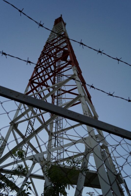 На оценку - Александр 