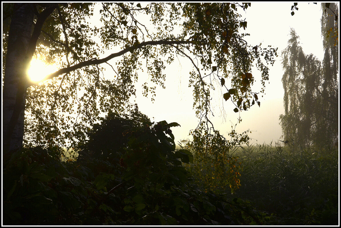 Светает - Aleksandr Gal Светает - Aleksandr Gal