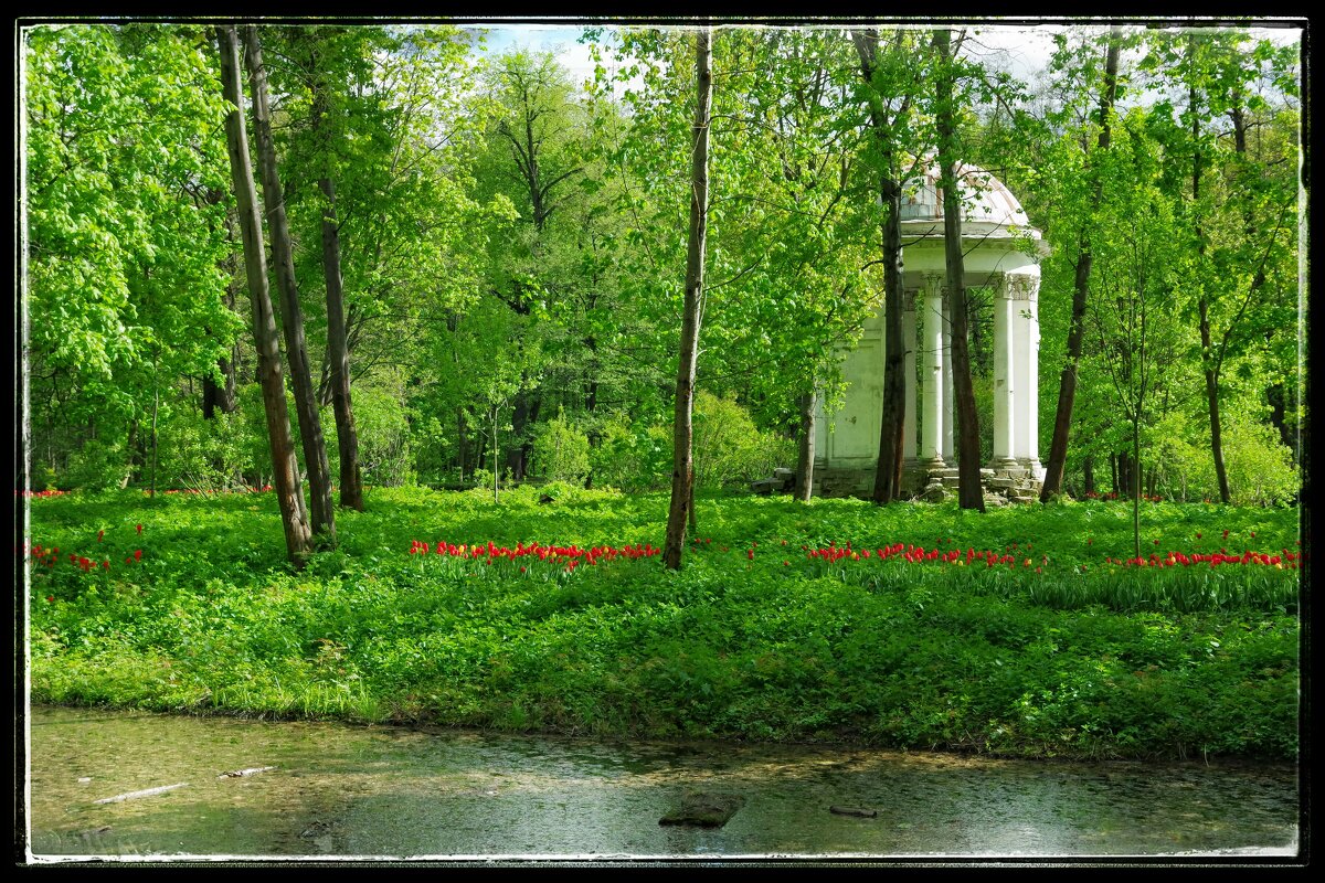 Ротонда в парке усадьбы Быково. - Руслан 