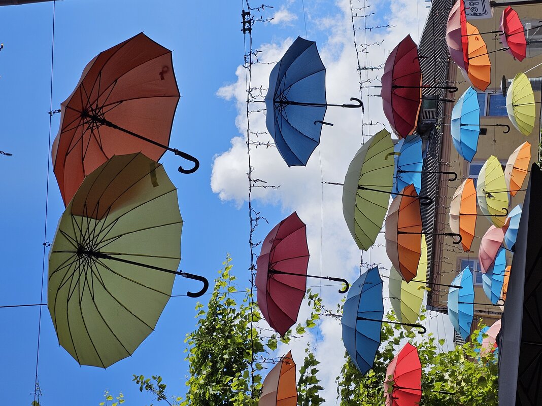 Зонтичное драже. - Галина Левина