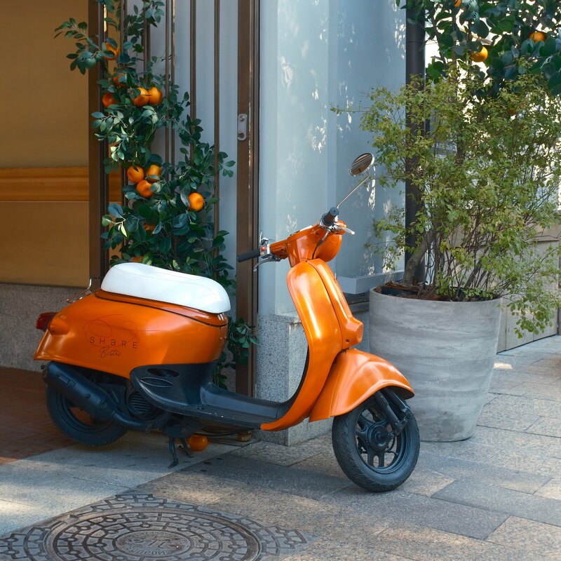 . - Лютый Дровосек