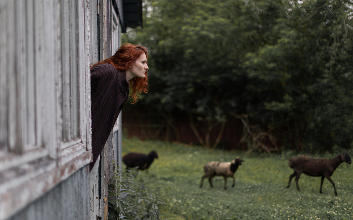 в деревне - Андрей Фролов