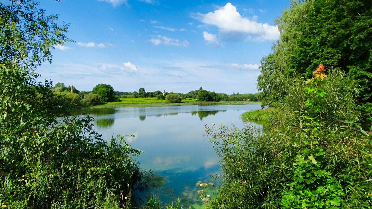 Лето в августе (репортаж из поездки по области). - Милешкин Владимир Алексеевич 