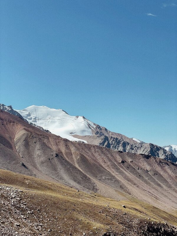 Снежник... - Георгиевич Снежник... - Георгиевич