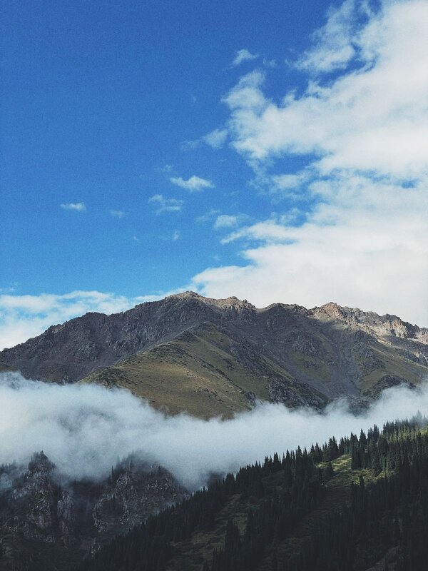 Горы зовут - Георгиевич 