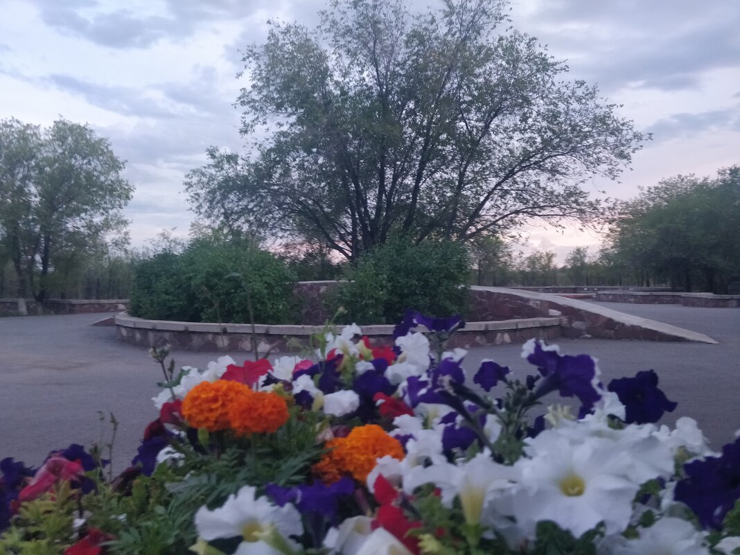 Вечер - Андрей Хлопонин