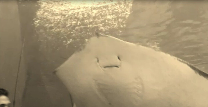 112 (227) - СТРЕН 