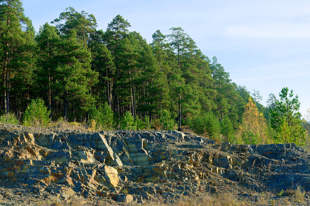 Салаирский кряж - Дмитрий Конев Салаирский кряж - Дмитрий Конев