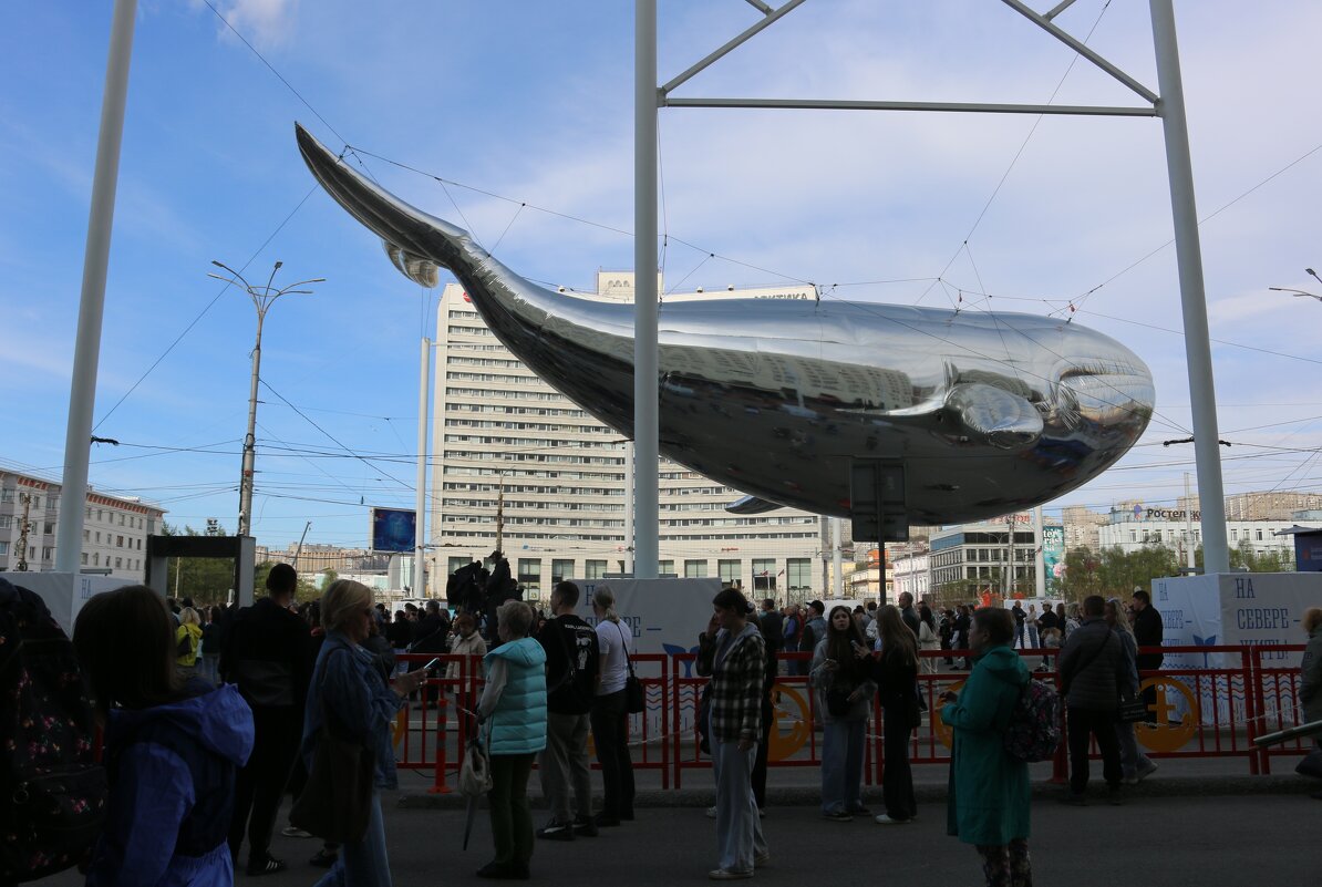 Лето в Мурманске - Ольга 