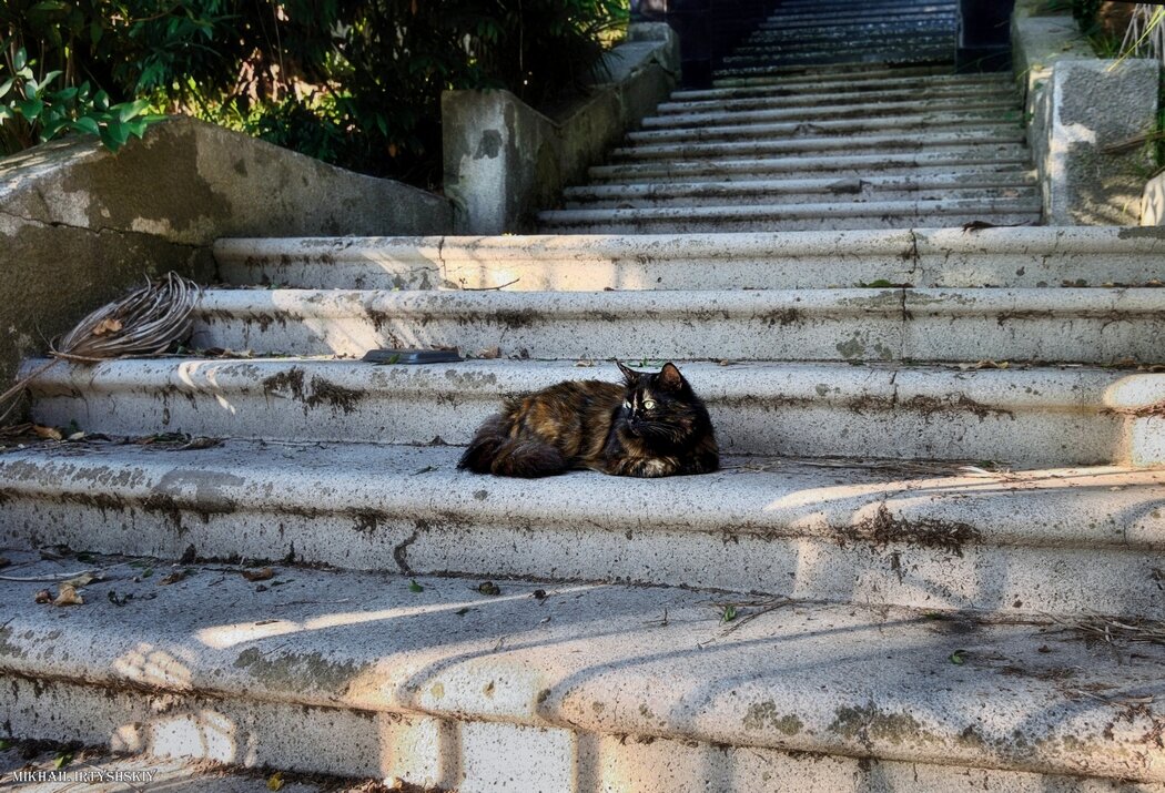 Хозяин лестницы - Mikhail Irtyshskiy Хозяин лестницы - Mikhail Irtyshskiy