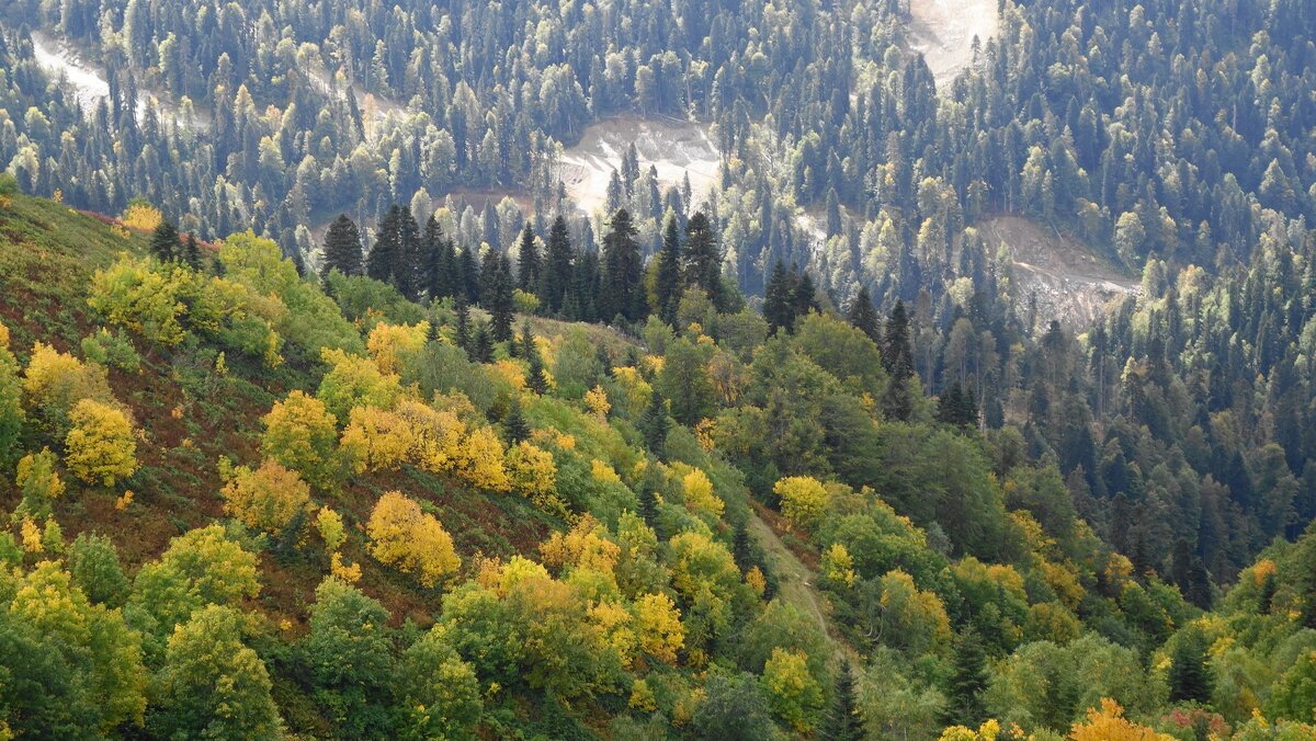 Кавказские горы - Рита Симонова