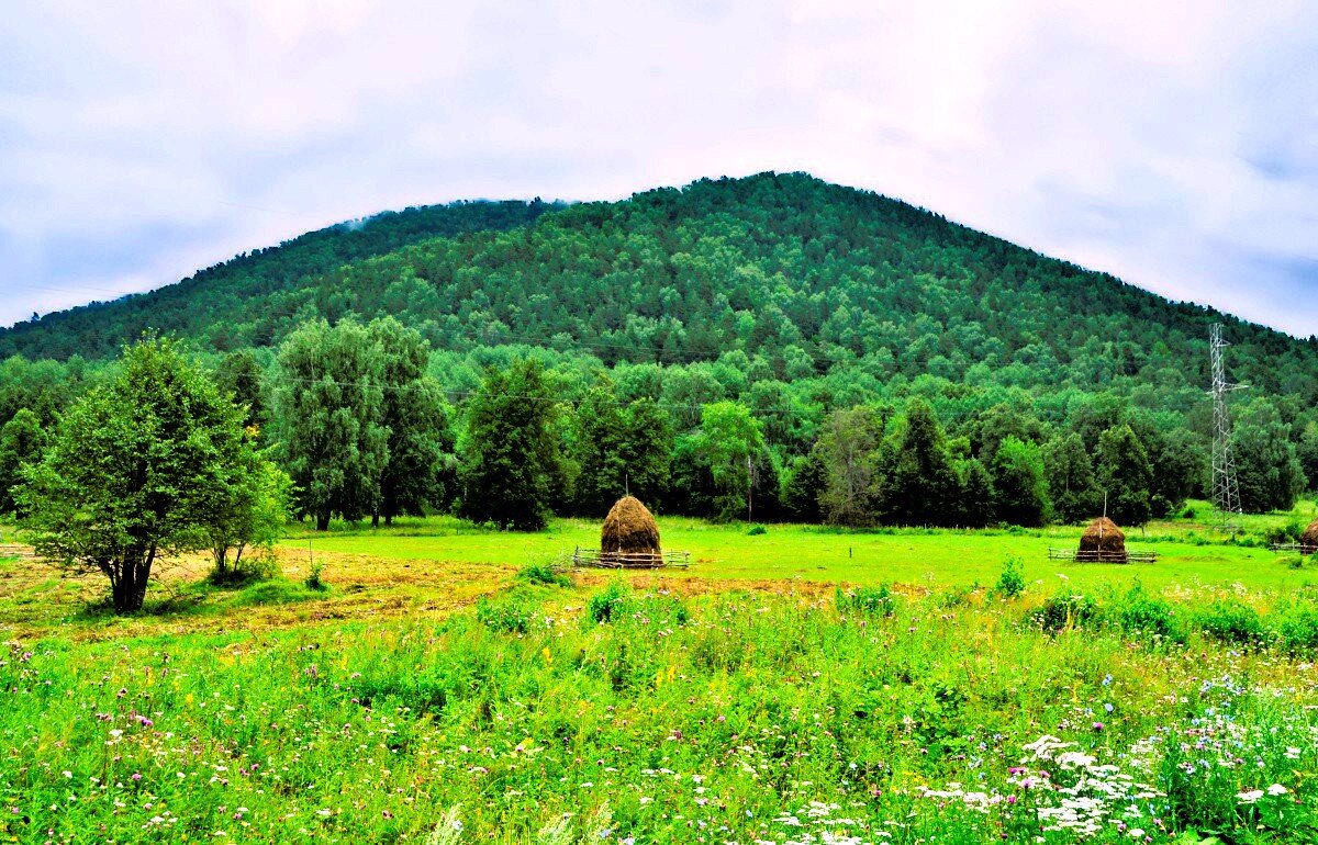 Скоро осень - Галина Шеина-Мюльдорфер