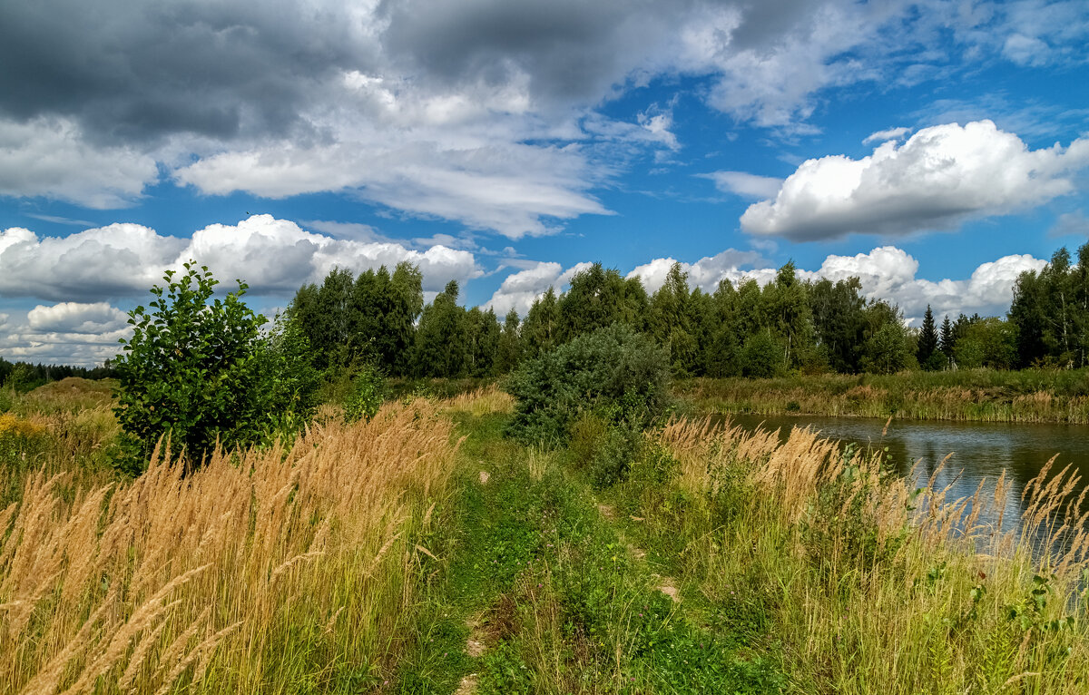Вторая половина Августа 5 - Андрей Дворников