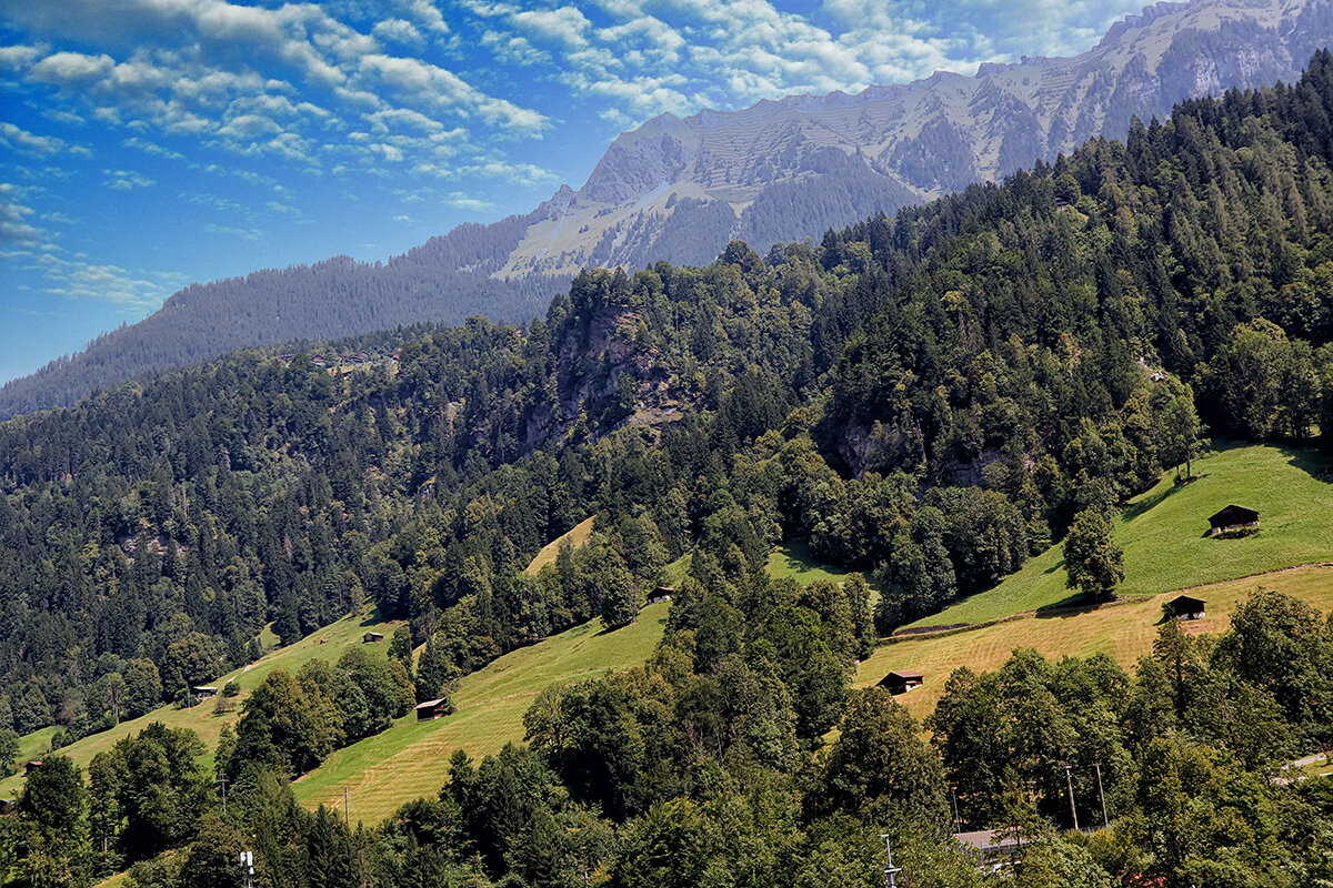 Альпы  Швейцария.. - igor G.
