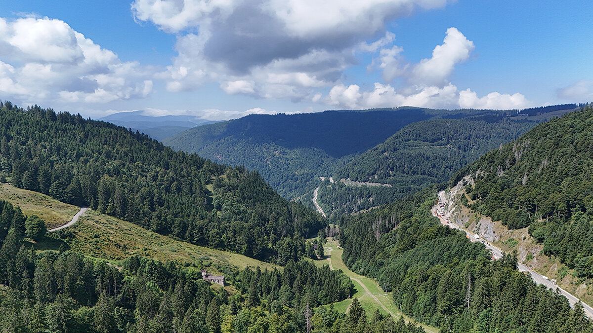 Шварцвальд  /черный лес/ Германия.. / дрон / - igor G.