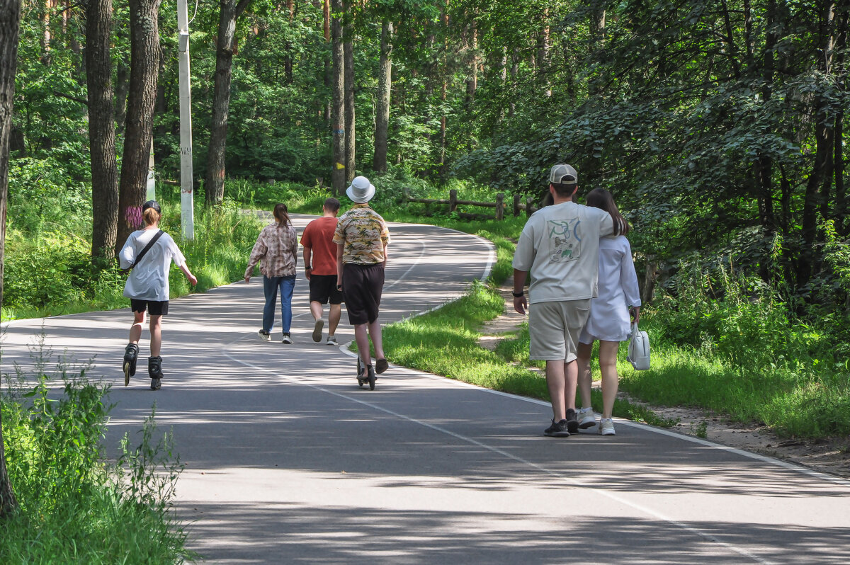 Дышим лесом, наслаждаемся движением - Татьяна Машошина