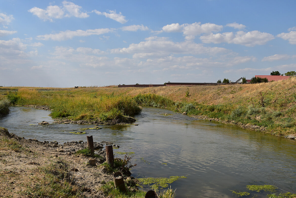 Река Ташла - Александр Река Ташла - Александр