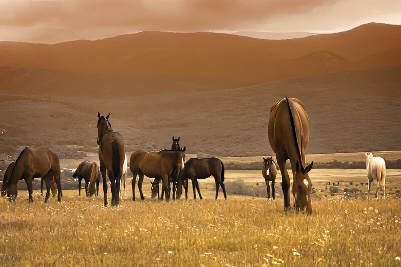 Вечер. - Анна Пугач