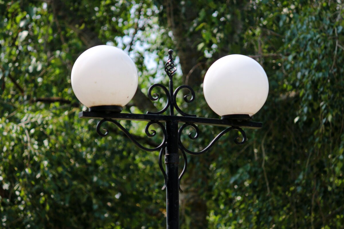 *** - Андрей Л. В.