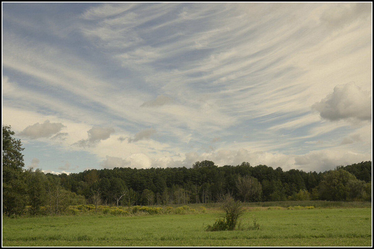 Осень приближается - Aleksandr Gal