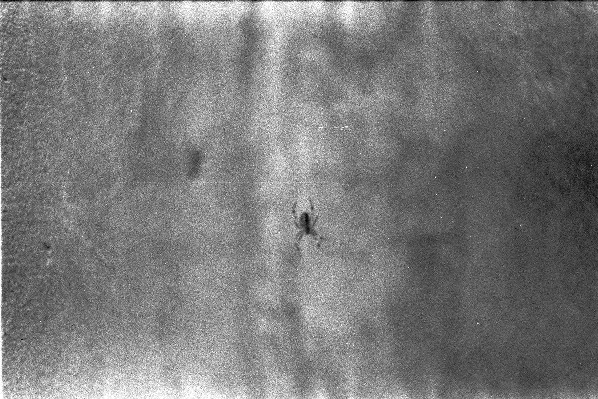 Спайдер - Ильич -