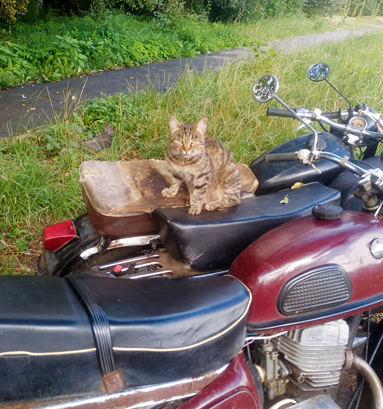 Поехали - Сергей Кочнев