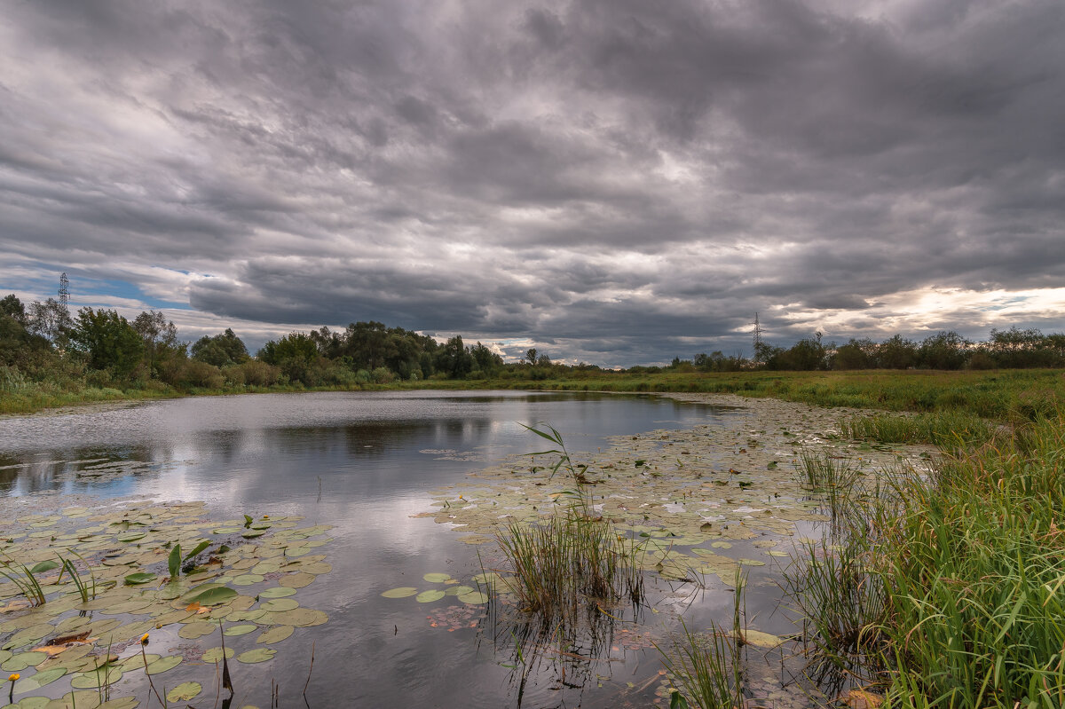 ... - василий 