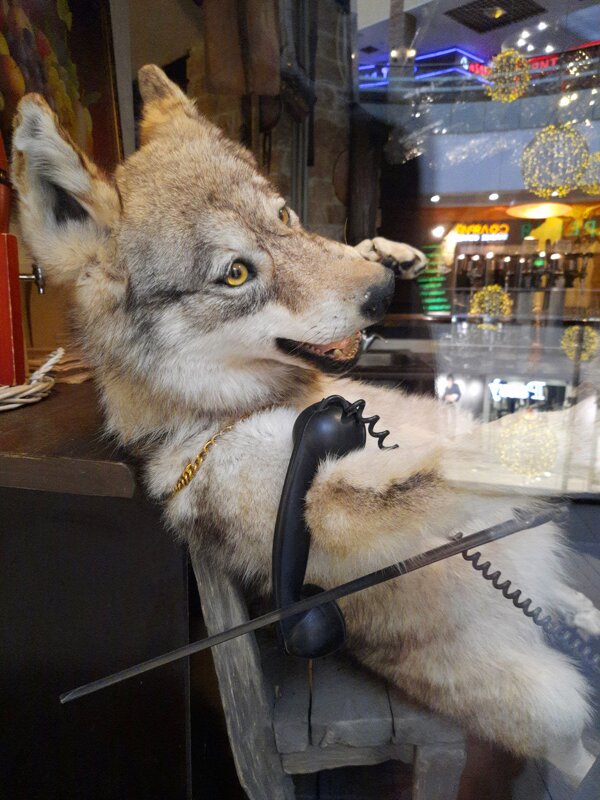 *** - Андрей Л. В.