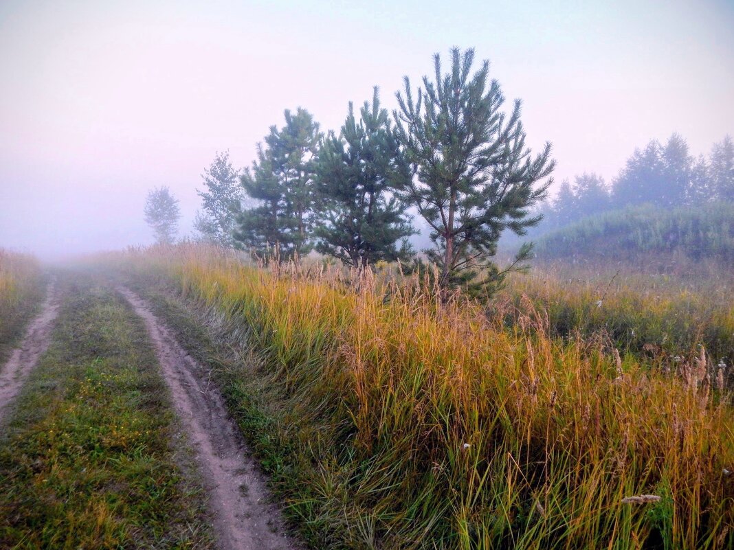 В туманную даль! - Елена Хайдукова  ( Elena Fly )