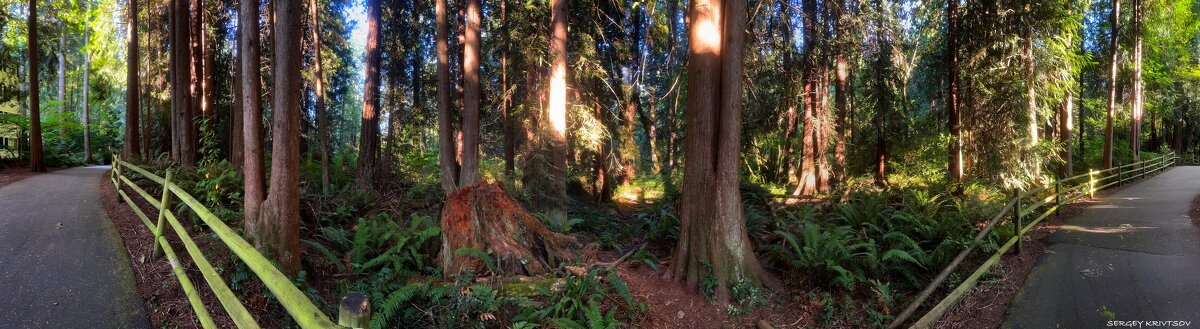 На неведомых дорожках - Sergey Krivtsov