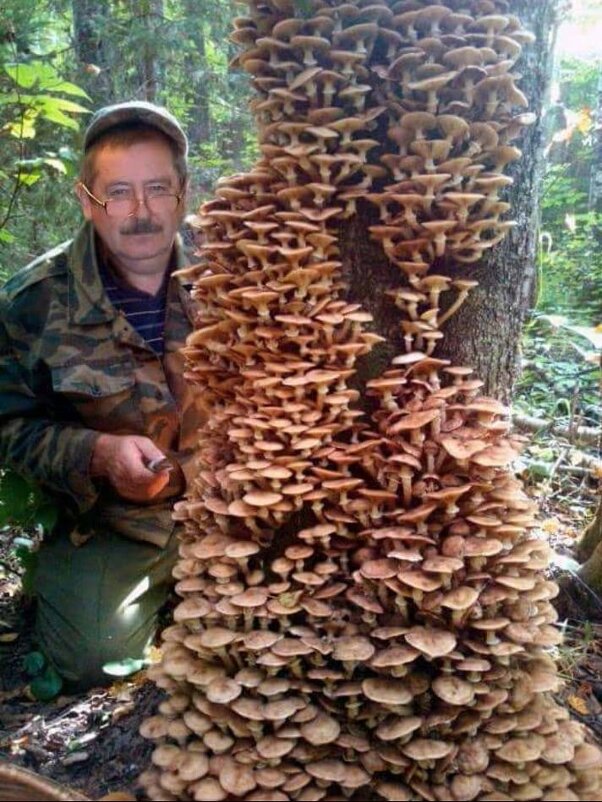 ПОВЕЗЛО ! :) - Валерий Кокорев