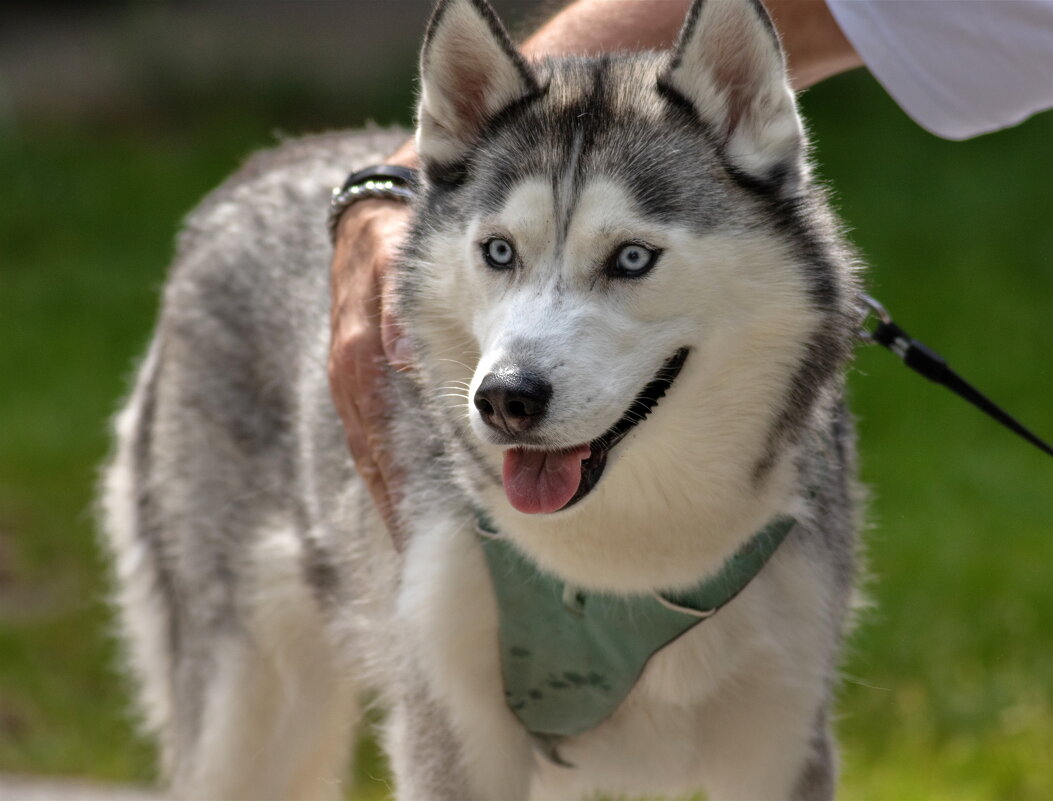 -- - vladimir -- - vladimir