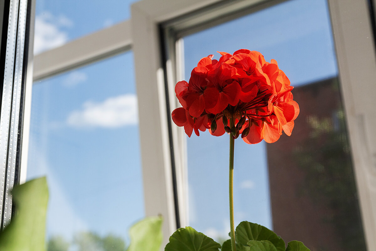 Риддер - Дмитрий 