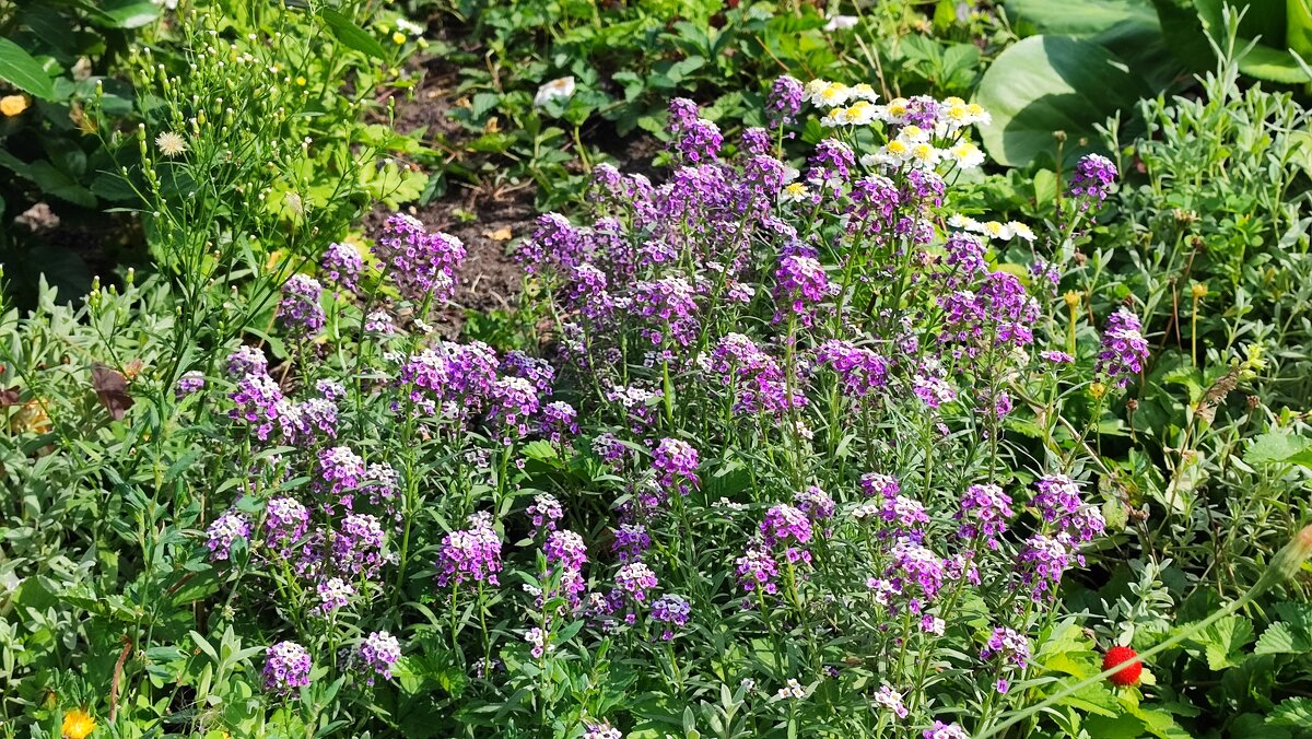 ,,, - Сергей Тимоновский