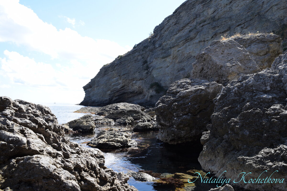 Природа Крыма - Amazing Cosmea