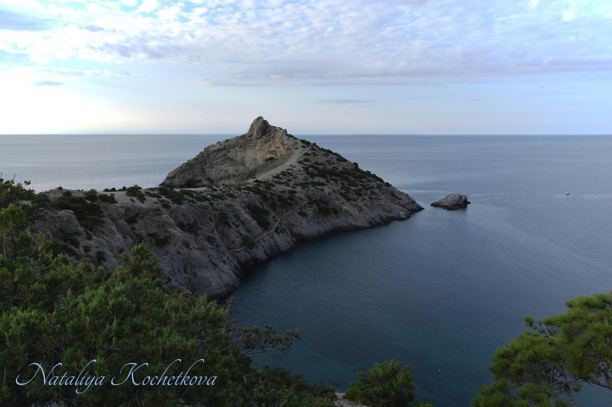 Природа Крыма - Amazing Cosmea